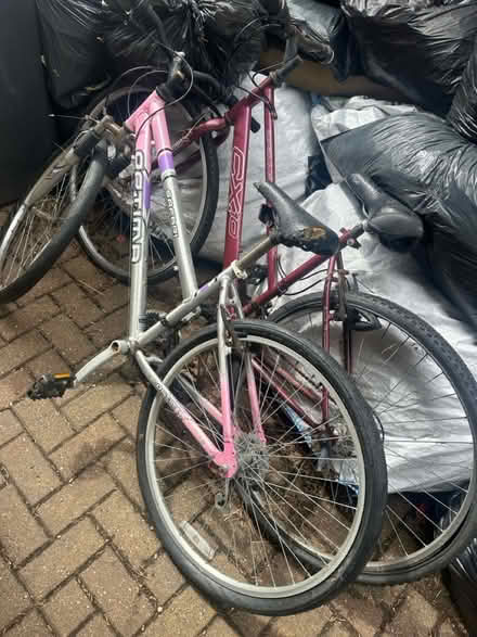 Photo of free Two bicycles (Tolwort KT5) #1