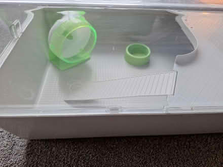 Photo of free Hamster cage with wheel and food bowl (Surrenden BN1) #2