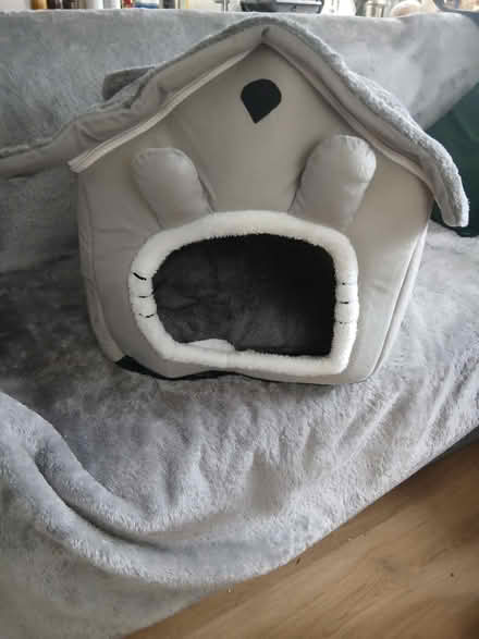 Photo of free Small dog & cats (enfield) #1