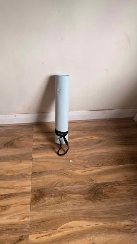 Photo of free Yoga mat (Custom House E16 3LQ) #1
