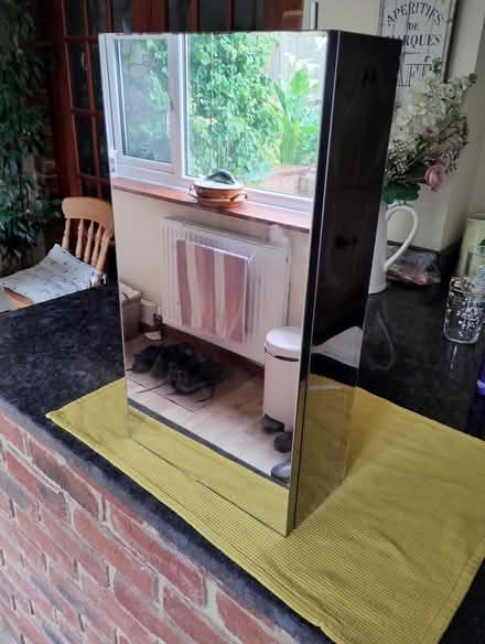 Photo of free Mirrored bathroom cabinet (Frindsbury Extra ME2) #2
