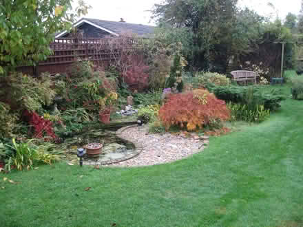Photo of free Chipped & broken bricks for shed base, paths etc (Shinfield RG2) #3