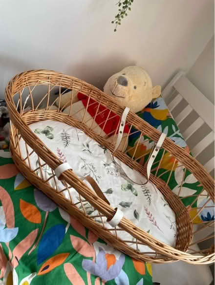 Photo of free Moses basket (Snodland me6) #2