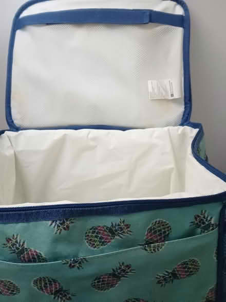 Photo of free Cool bag, pineapple design (Wray LA2) #4