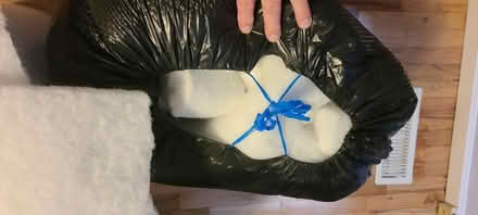 Photo of free Clean cushion inserts and fill (South beacon hill) #4