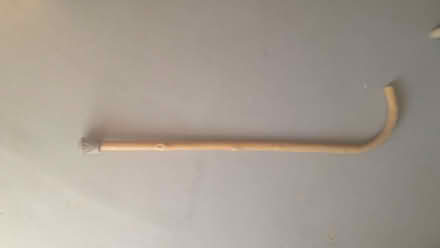 Photo of free walking stick (Diss IP21) #1