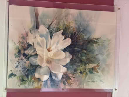 Photo of free Framed flower print (Croton-on-Hudson) #1