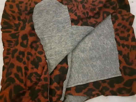 Photo of free Red Leopard Print Material (Birmingham City Centre B4) #1