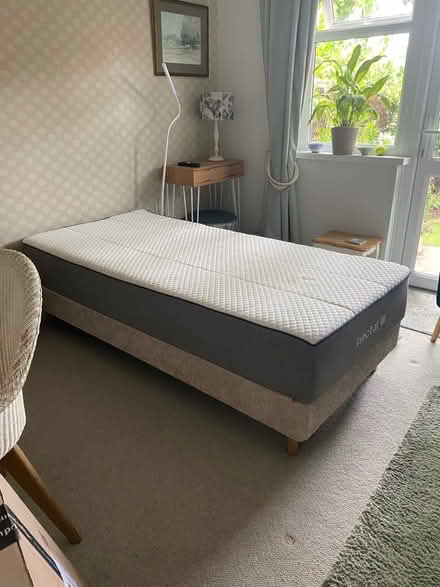 Photo of free Comfortable single bed (Ashtead KT21) #1