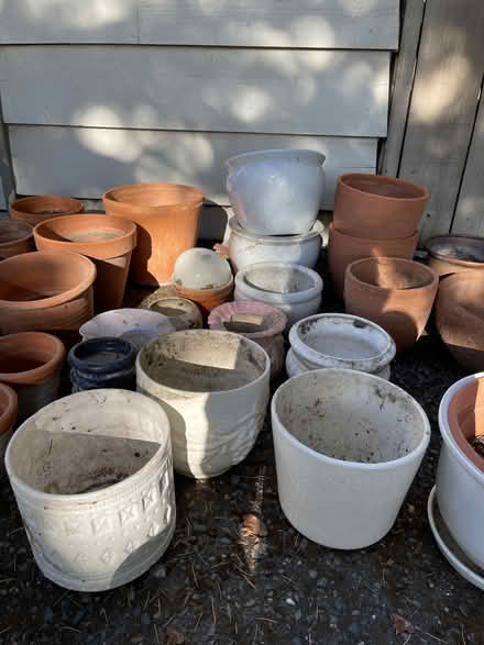 Photo of free Lotsa Pots (Muir Oaks, Martinez) #2