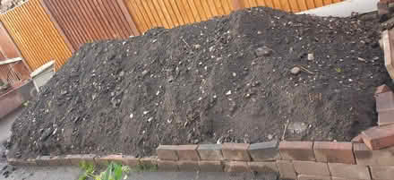 Photo of free Soil (Springfield B11) #1