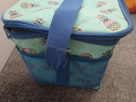 Photo of free Cool bag, pineapple design (Wray LA2) #2