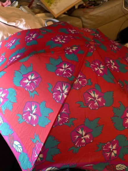 Photo of free Fulton umbrella (Ashford TW15) #1
