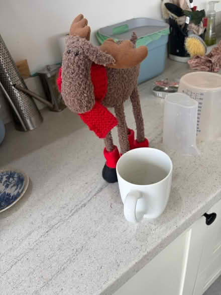Photo of free Christmas decoration (Central Tonbridge TN9) #1