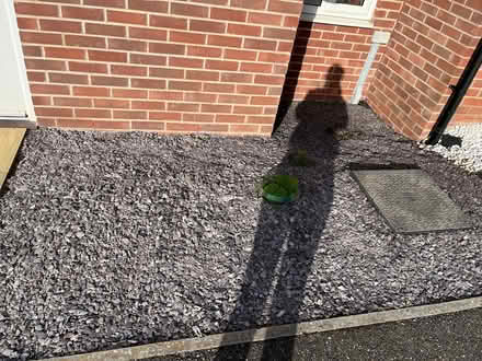 Photo of free Blue grey slate chips for paths or borders (Gallows Bridge EX1) #3
