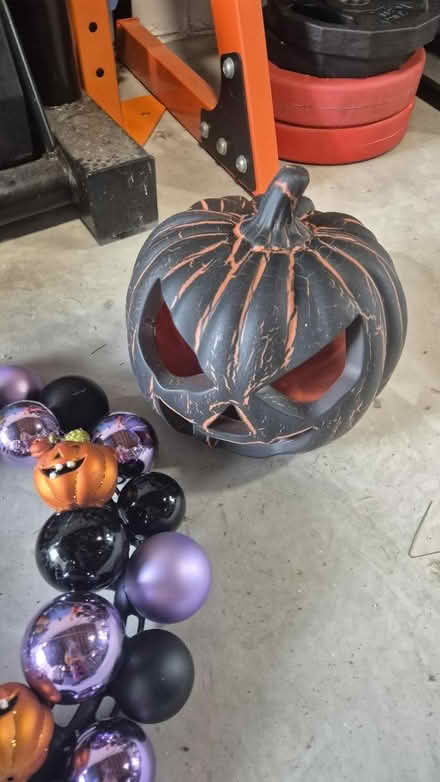 Photo of free Halloween decorations (Downham BR1) #3