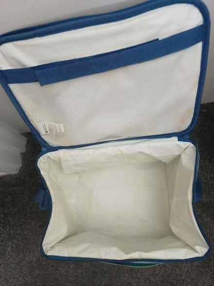 Photo of free Cool bag, pineapple design (Wray LA2) #3