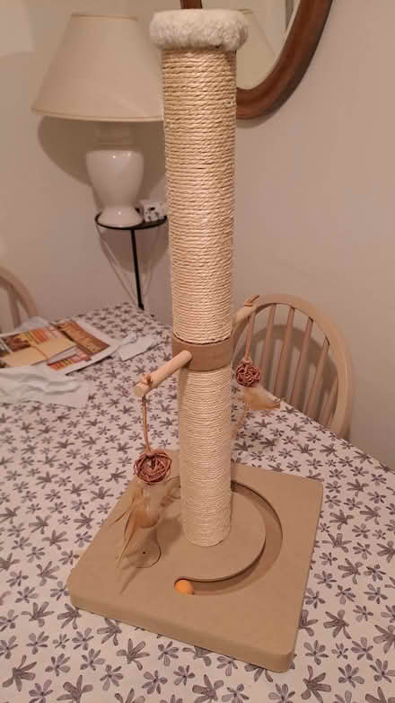 Photo of free Cat Scratching Post (Sherrard's Green WR14) #1