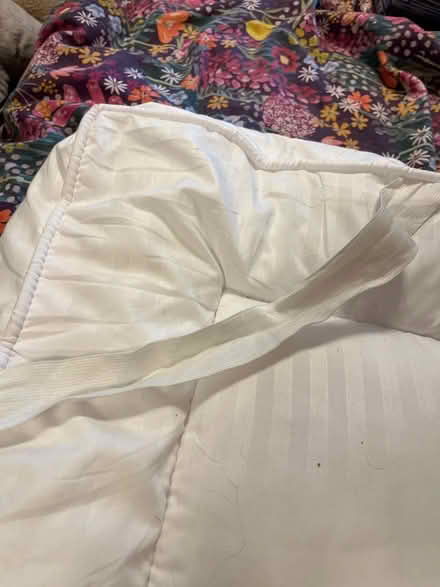 Photo of free Nice and thick double mattress topper. (Shephall SG2) #2