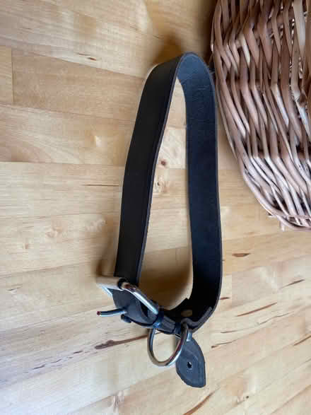 Photo of free Large Dog collar (BS5 9AW) #1