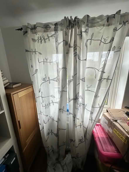 Photo of free Full length sheer curtains and curtain pole (Cosby LE9) #3