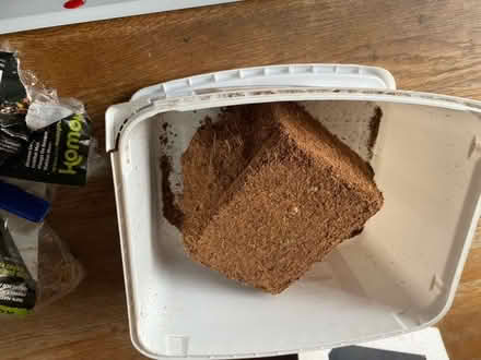 Photo of free Items For An African Land Snail (Boughton Street ME13) #2