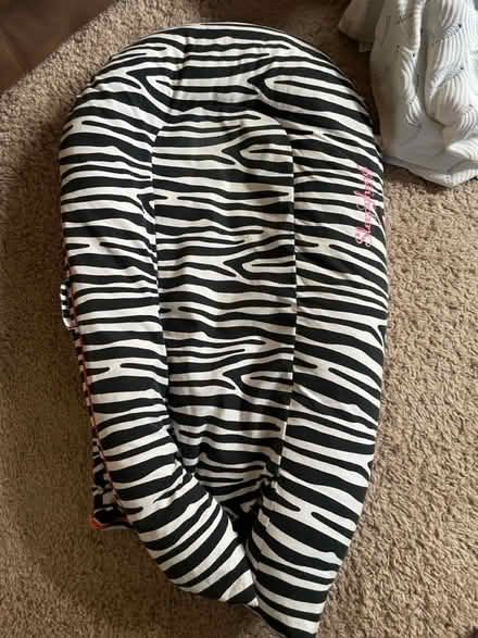 Photo of free XL sleepy head (Snodland me6) #1