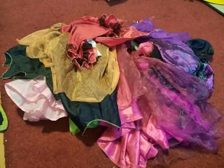 Photo of free Dress up clothes age 7-8 years (Burgess Hill) #1