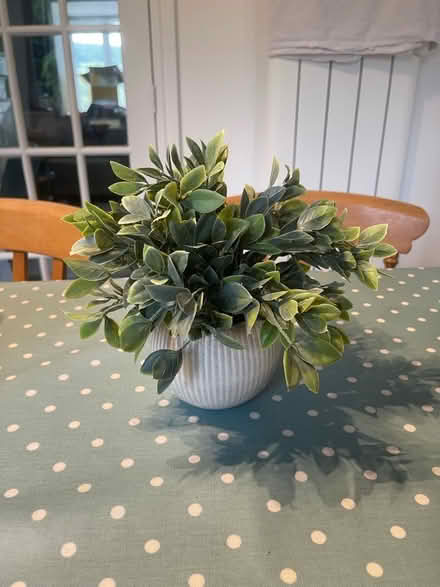 Photo of free Decorative flowers (Penrith CA11) #2