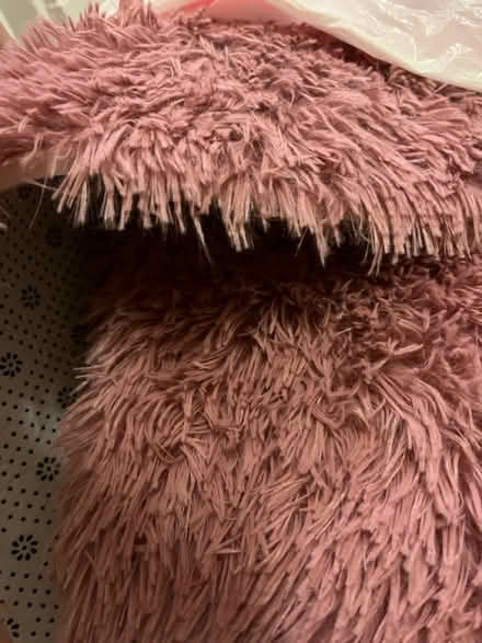 Photo of free Carpet scraps (Winter Hill) #2