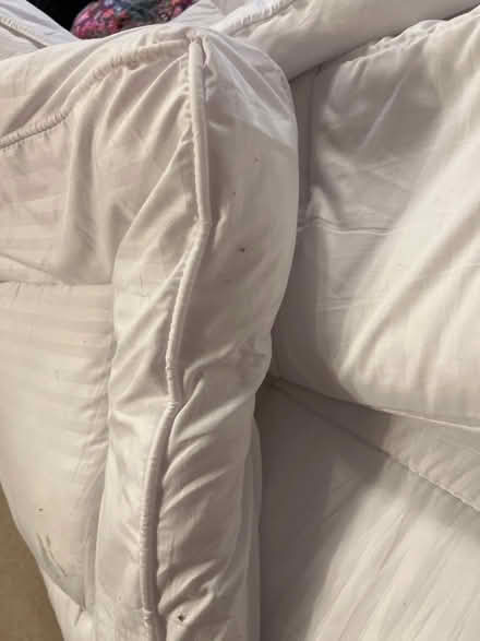 Photo of free Nice and thick double mattress topper. (Shephall SG2) #3