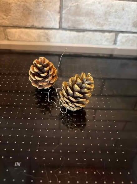 Photo of free Fir cones (Tilehurst RG30) #1