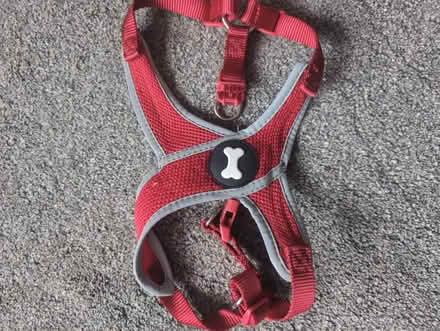 Photo of free Dog harness and collar (Old Coulsdon CR5) #2