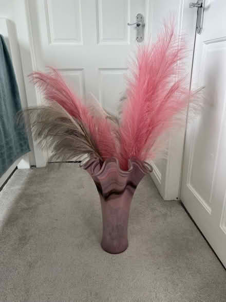 Photo of free Pink vase & feathers (Stalybridge SK15) #1
