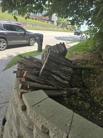 Photo of free Oak and Cedar Firewood (North Good Samaritan Hospital) #2
