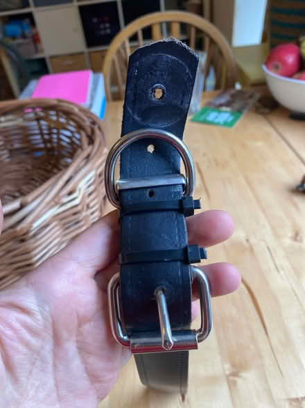 Photo of free Large Dog collar (BS5 9AW) #2
