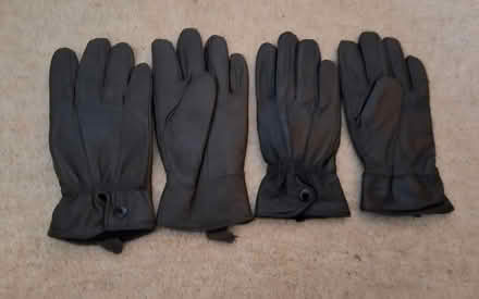 Photo of free Women's gloves s & m (South Acton) #2
