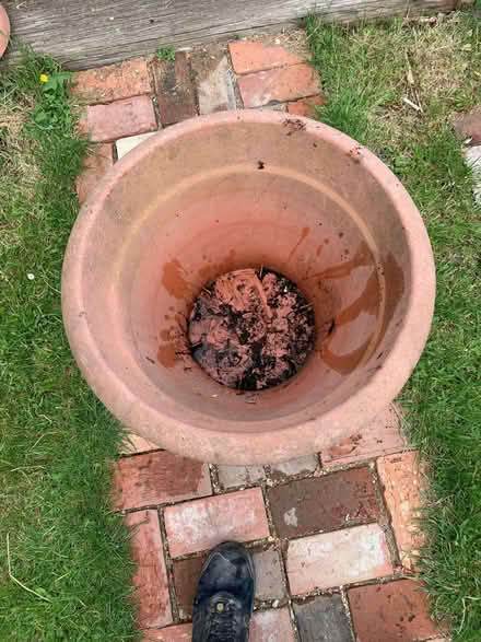 Photo of free Large plastic plant pot (Cosham PO6) #2