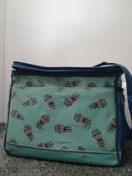 Photo of free Cool bag, pineapple design (Wray LA2) #1