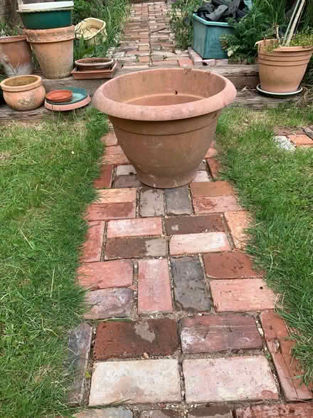 Photo of free Large plastic plant pot (Cosham PO6) #1