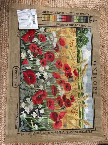 Photo of free Tapestry canvases (Parkstone BH14) #2