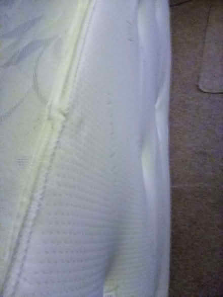 Photo of free Single 3 foot wide mattress (Cheddon Fitzpaine TA2) #2