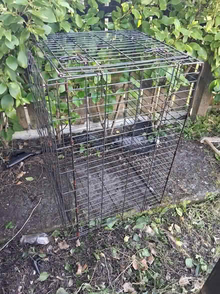 Photo of free Dog crates (Ards BT23 8JP) #1