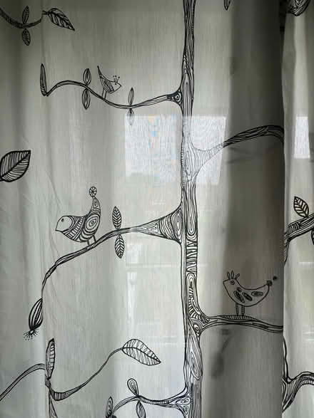 Photo of free Full length sheer curtains and curtain pole (Cosby LE9) #1