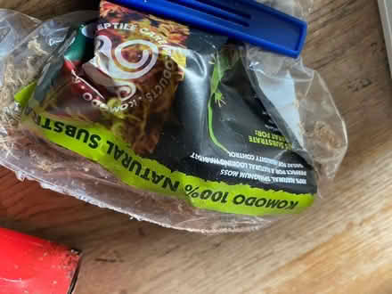 Photo of free Items For An African Land Snail (Boughton Street ME13) #1