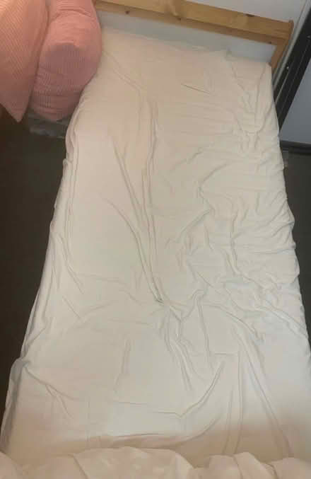 Photo of free Ikea single bed (N8 0LD) #1