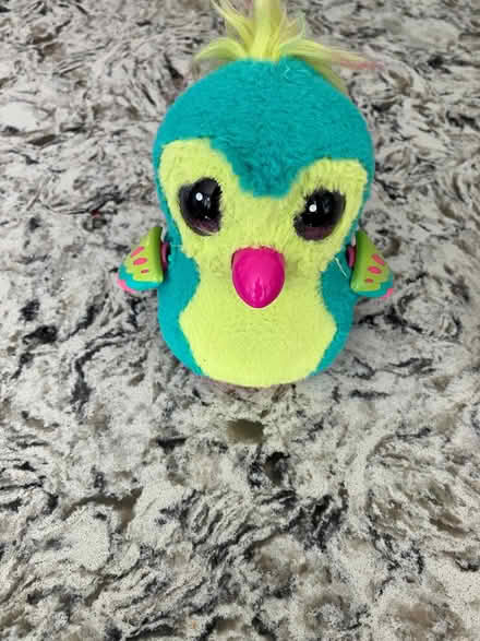 Photo of free Hatchimal not working (Kempston) #1