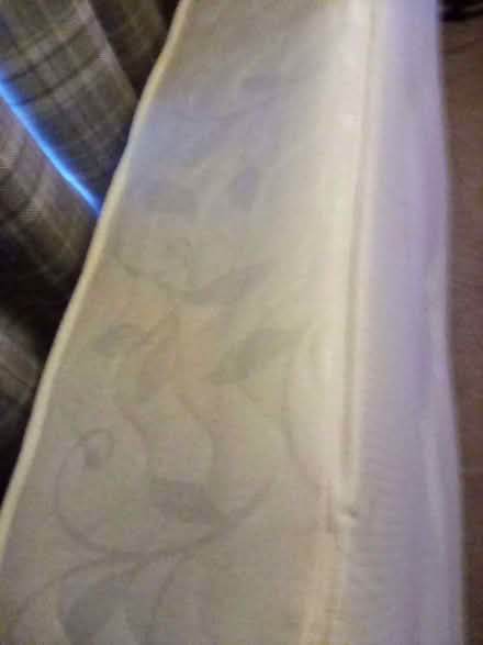 Photo of free Single 3 foot wide mattress (Cheddon Fitzpaine TA2) #3