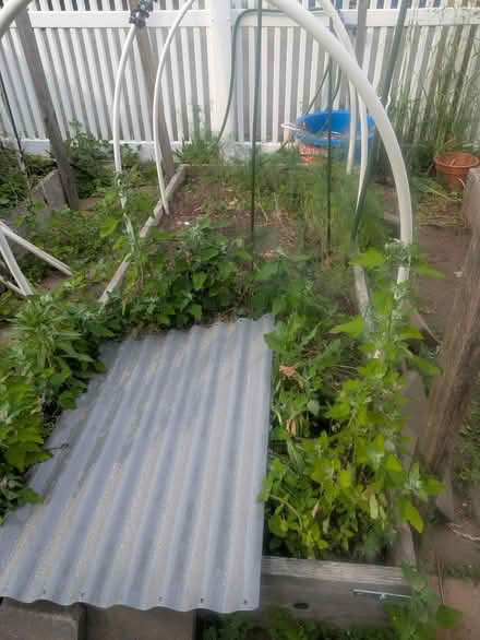 Photo of free 3 Wood Raised garden bed frames (Pawtucketville / Lowell) #2