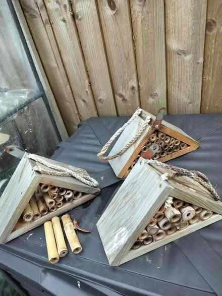Photo of free 3 bee hotels (Southcote RG1) #1